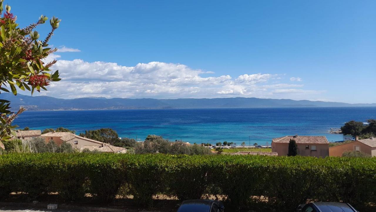 Marinella, Vue Mer Panoramique, Superbe T2 Plage A 150 M Αζάτσιο Εξωτερικό φωτογραφία